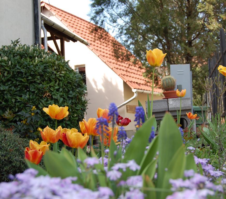 Maya Guesthouse Eger Eksteriør bilde